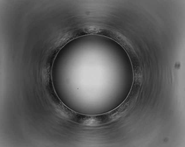 X0000098110460200804041348
