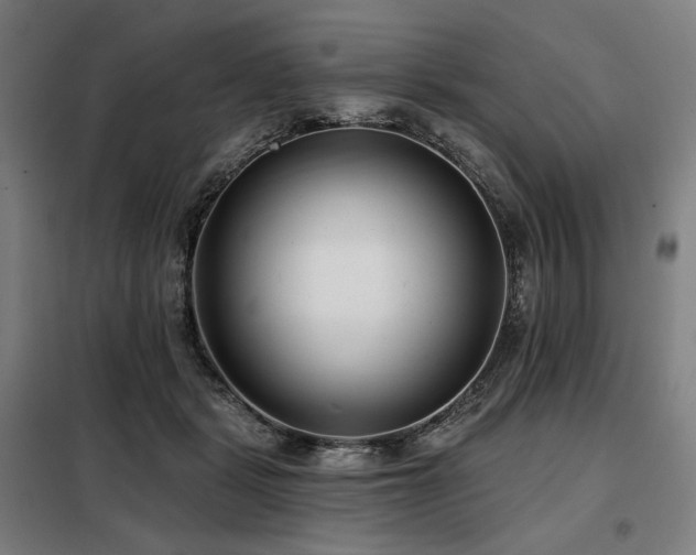 X0000098110461200804041348