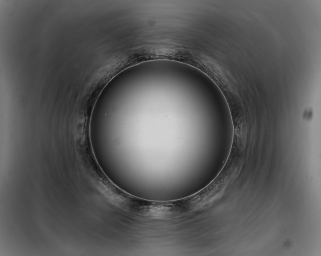 X0000098110462200804041348