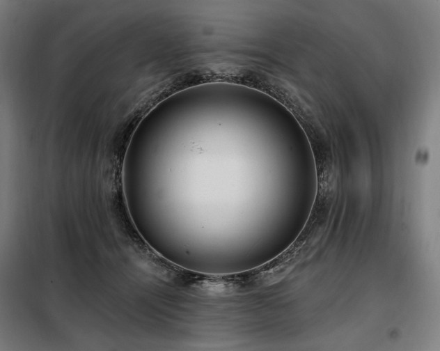 X0000098110464200804041348
