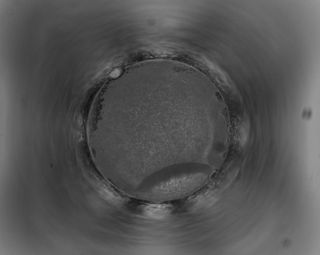 X0000098110465200804041348