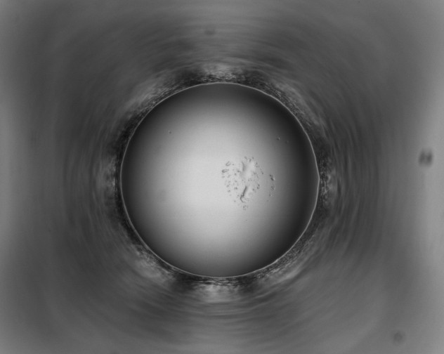 X0000098110466200804041348