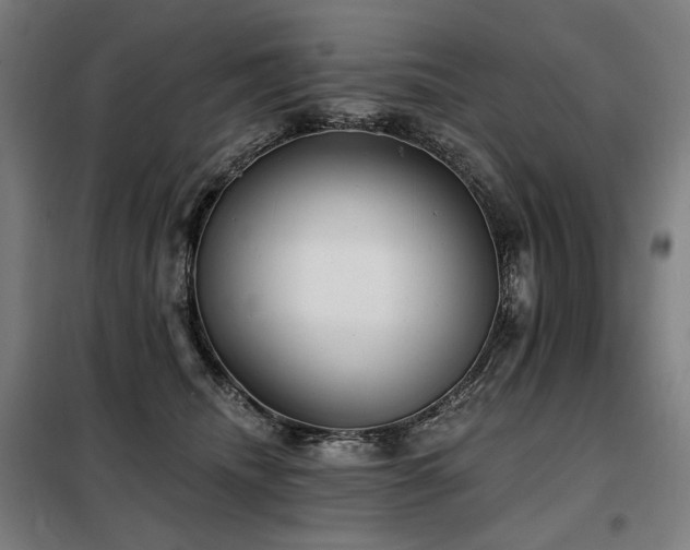 X0000098110468200804041348