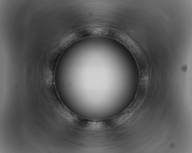 X0000098110469200804041348