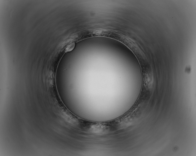 X0000098110470200804041348