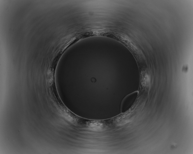 X0000098110471200804041348