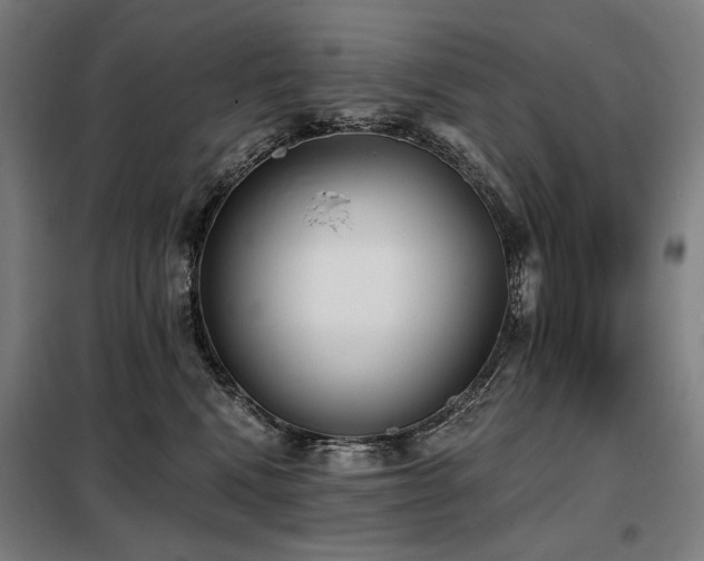 X0000098110472200804041348
