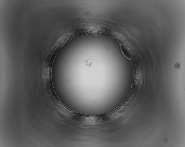 X0000098110473200804041348