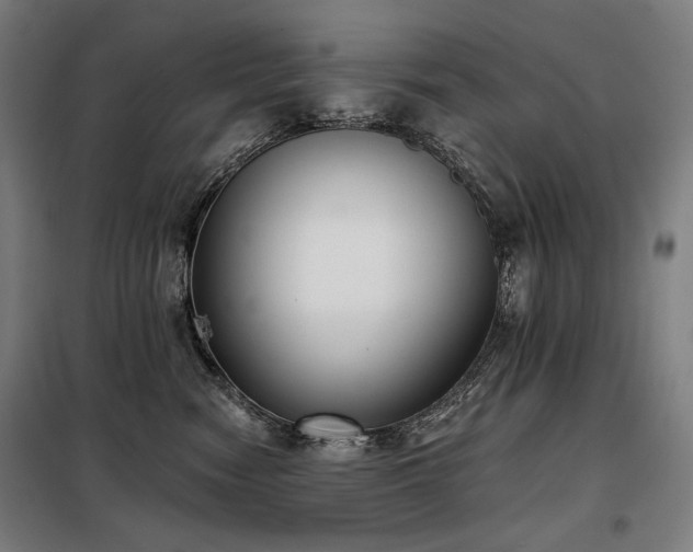 X0000098110474200804041348
