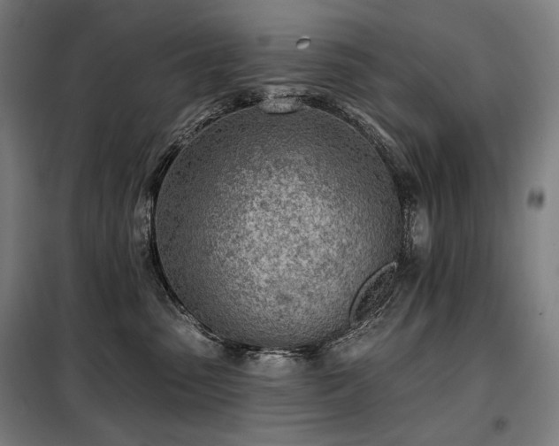 X0000098110475200804041348