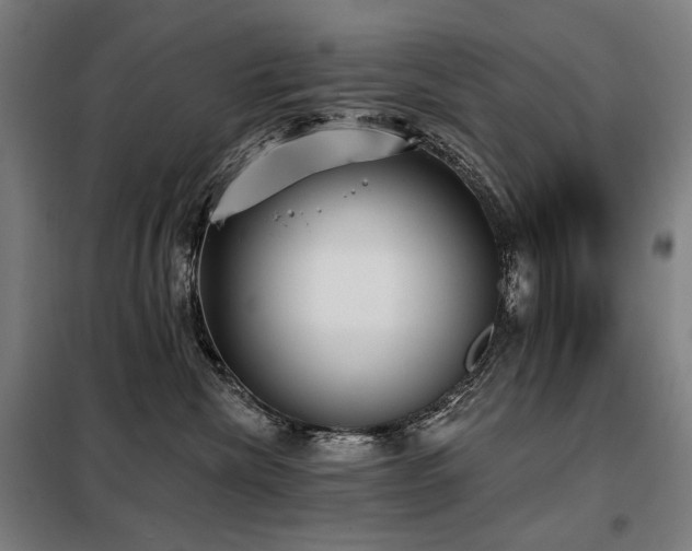 X0000098110476200804041348