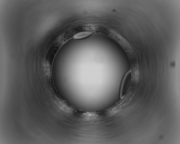X0000098110477200804041348
