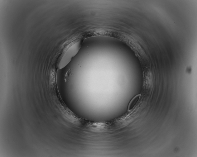 X0000098110478200804041348