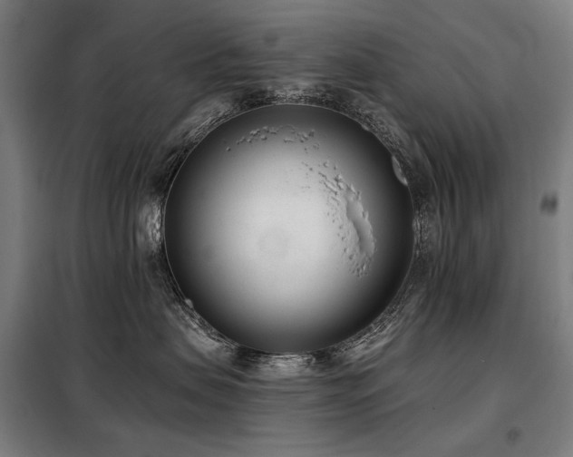 X0000098110479200804041348