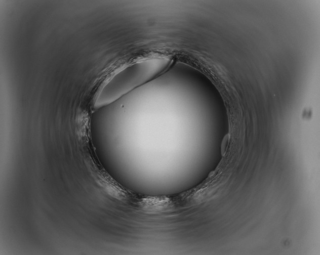 X0000098110480200804041348
