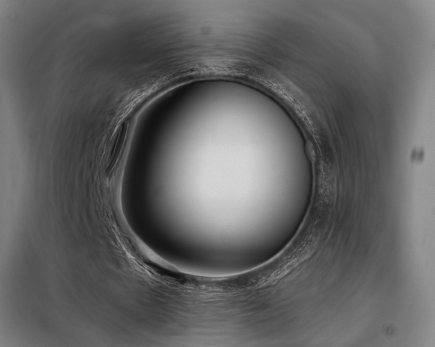 X0000098110481200804041348