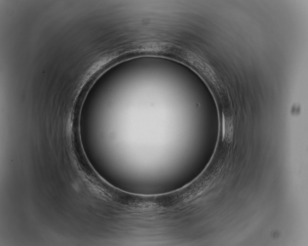 X0000098110483200804041348