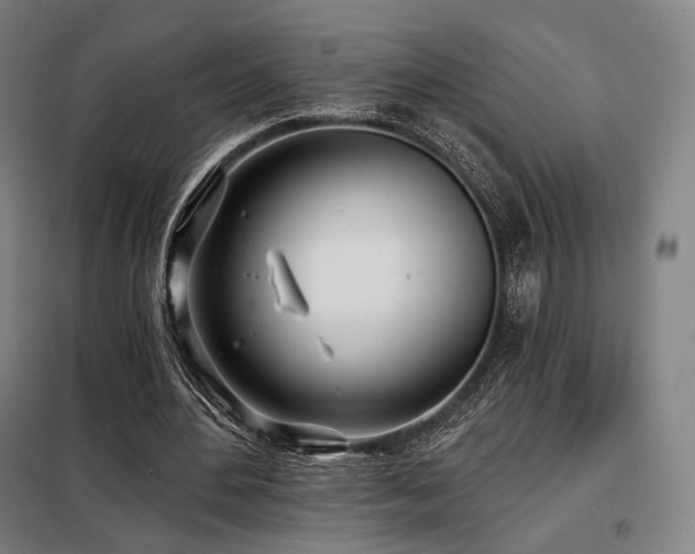 X0000098110484200804041348