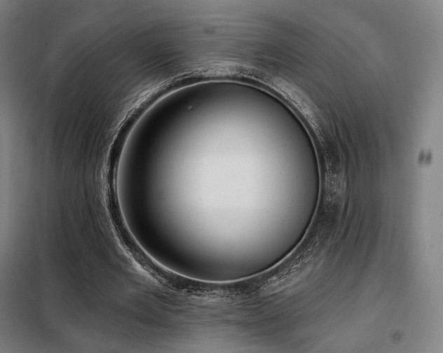 X0000098110485200804041348