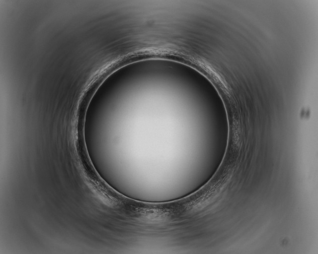 X0000098110486200804041348