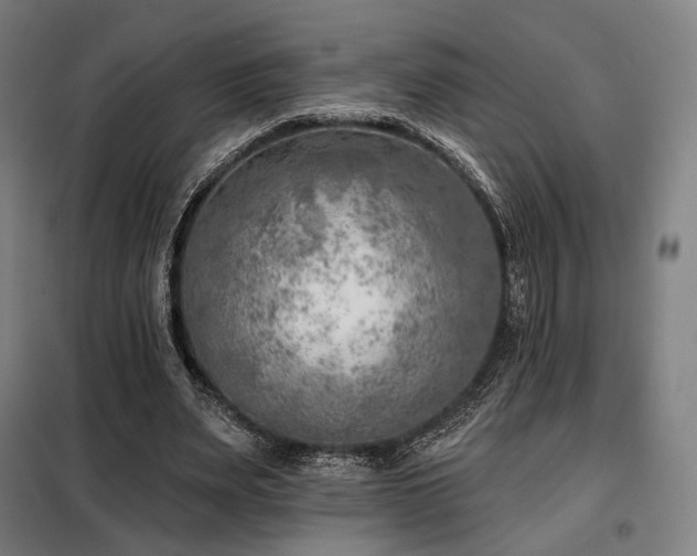 X0000098110487200804041348