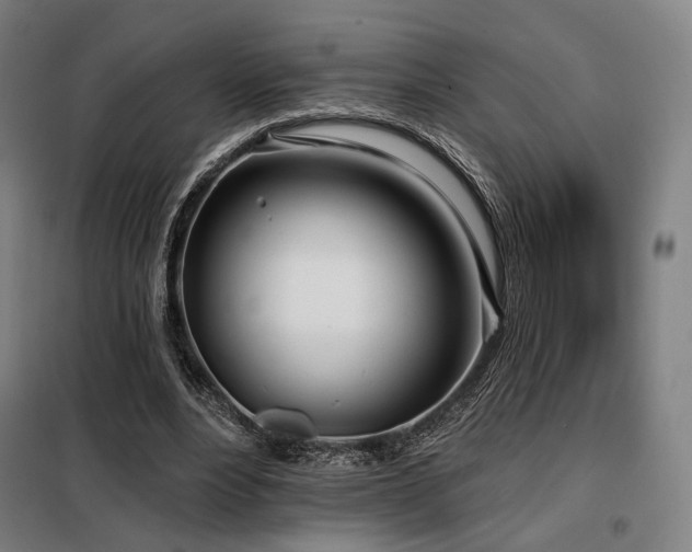X0000098110488200804041348