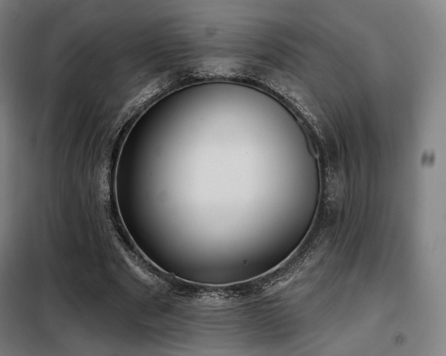 X0000098110489200804041348