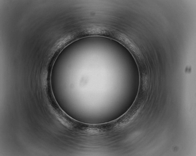 X0000098110490200804041348