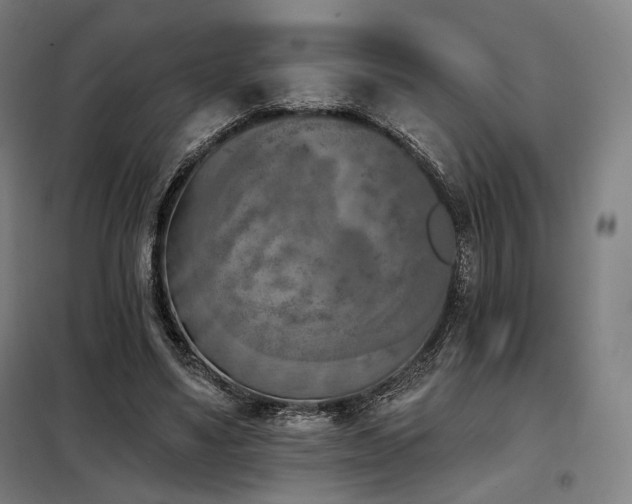 X0000098110491200804041347