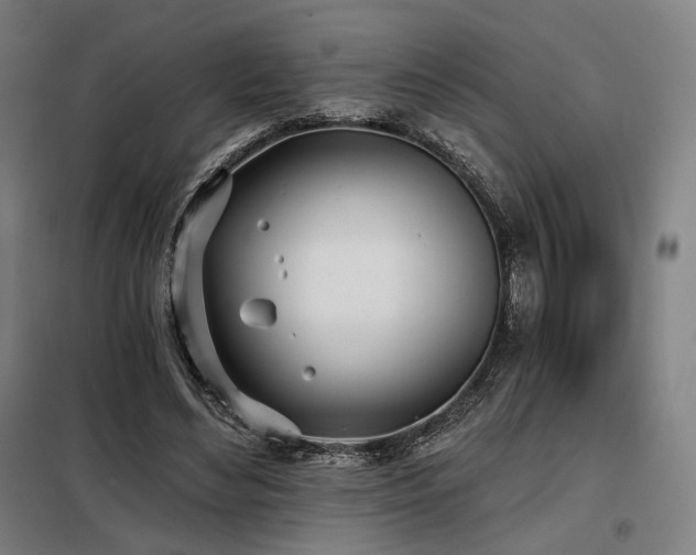 X0000098110492200804041347
