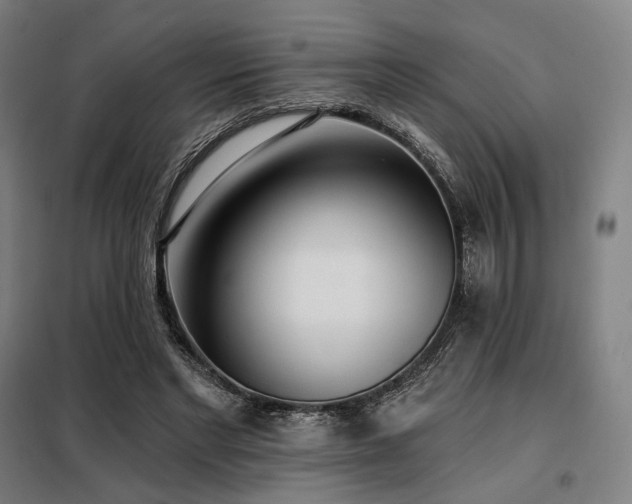X0000098110493200804041347