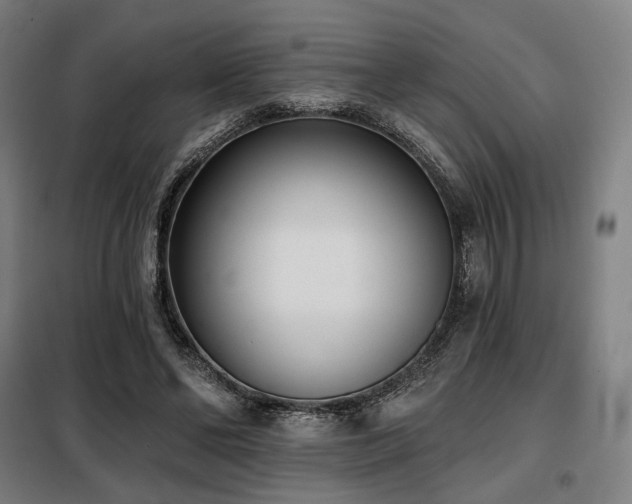 X0000098110494200804041347