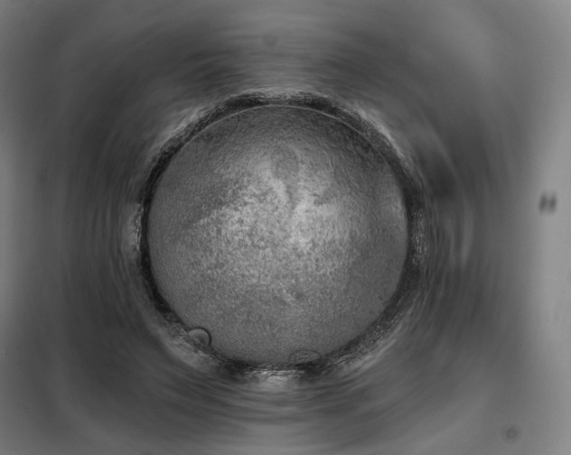 X0000098110495200804041347