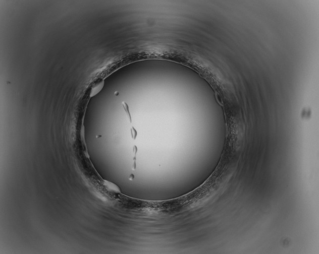 X0000098110496200804041347