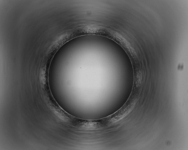 X0000098110497200804041347