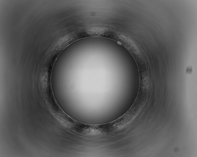 X0000098110498200804041347