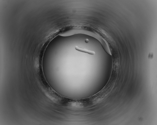 X0000098110500200804041347