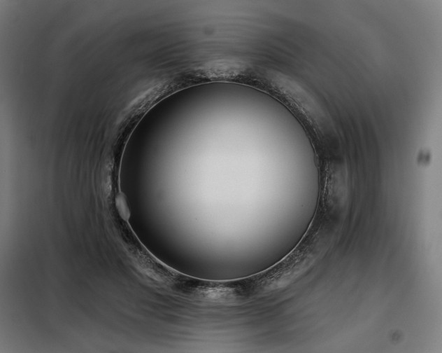 X0000098110501200804041347