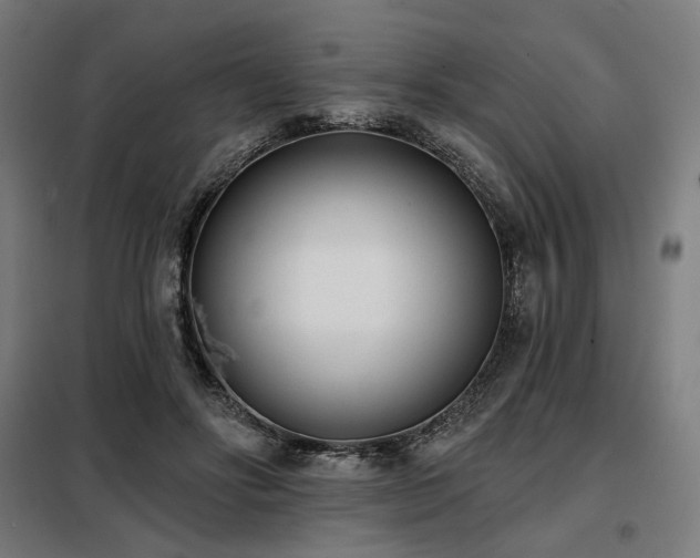 X0000098110502200804041347