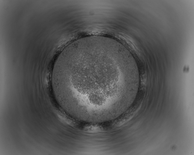 X0000098110503200804041347