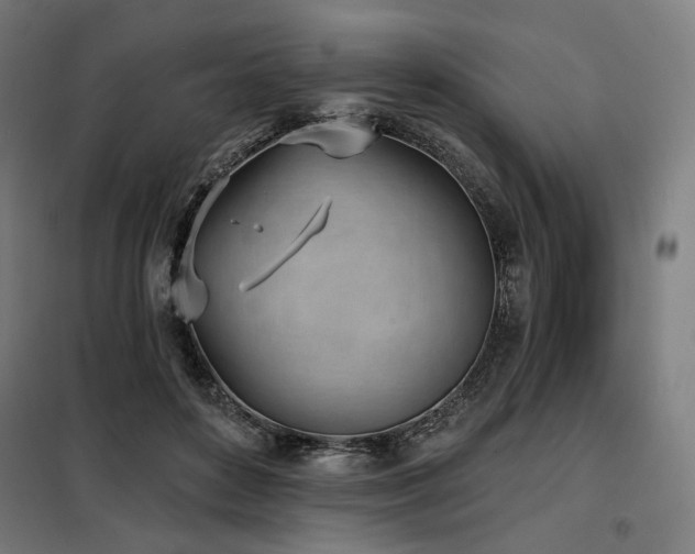 X0000098110504200804041347