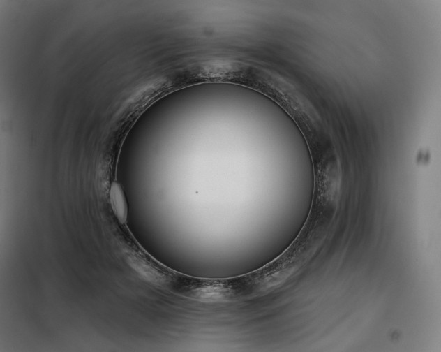 X0000098110505200804041347