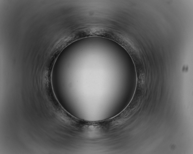 X0000098110506200804041347