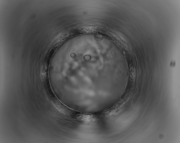 X0000098110507200804041347