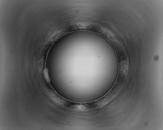 X0000098110509200804041347