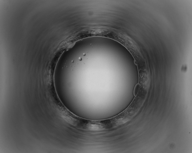 X0000098110510200804041347