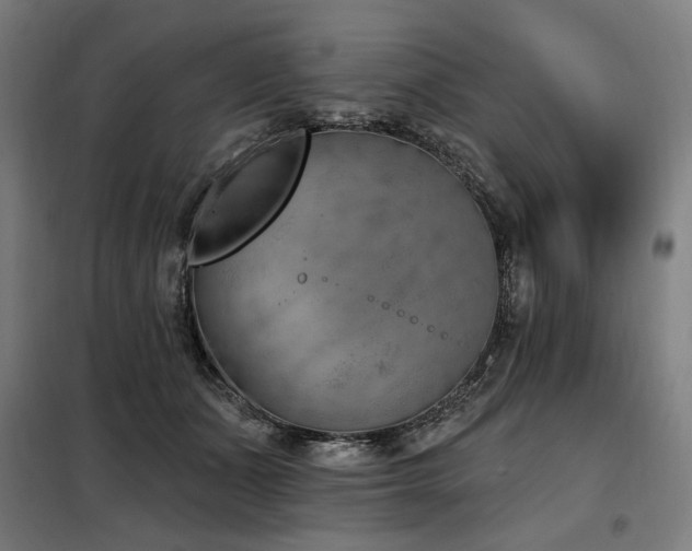 X0000098110511200804041347