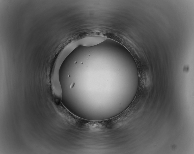 X0000098110512200804041347