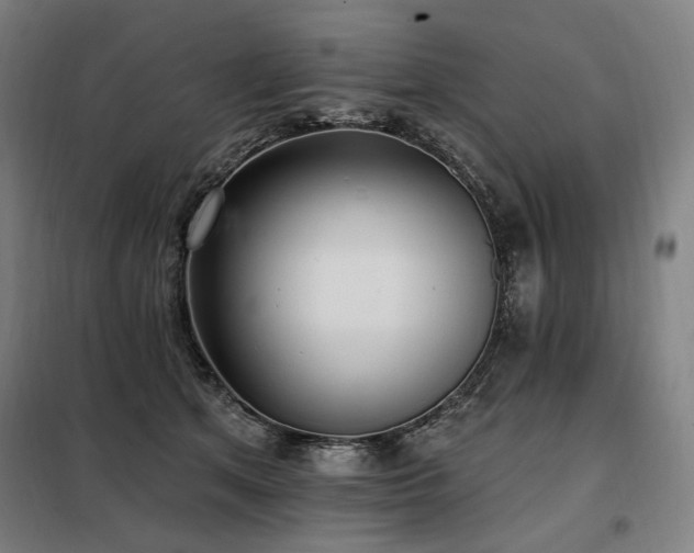 X0000098110513200804041347