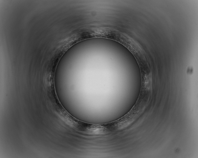 X0000098110514200804041347
